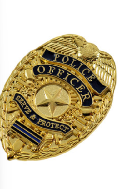 Custom 3D Police Badge Lapel Pin Manufacturer | ChallengeCoinBadgesv